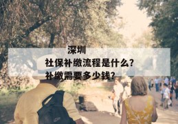 
       深圳社保补缴流程是什么？补缴需要多少钱？
     