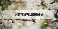 小鹅花钱可以提现多少