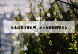 羊小咩审核要几天，羊小咩审核需要多久