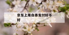 京东上用白条支付好不好