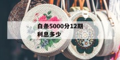 白条5000分12期利息多少