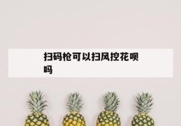 扫码枪可以扫风控花呗吗