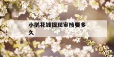 小鹅花钱提现审核要多久