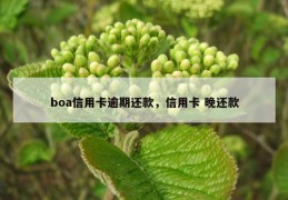 boa信用卡逾期还款，信用卡 晚还款