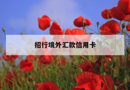 招行境外汇款信用卡