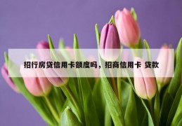 招行房贷信用卡额度吗，招商信用卡 贷款