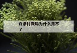 白条付款码为什么用不了