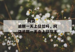 
       网贷逾期一天上征信吗，网贷逾期一天会上征信不
     