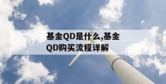 基金qd是什么,基金qd购买流程详解