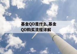 基金qd是什么,基金qd购买流程详解