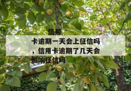 
       信用卡逾期一天会上征信吗，信用卡逾期了几天会影响征信吗
     