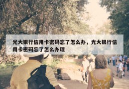 光大银行信用卡密码忘了怎么办，光大银行信用卡密码忘了怎么办理