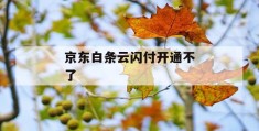 京东白条云闪付开通不了