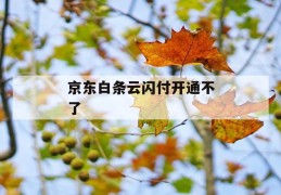 京东白条云闪付开通不了