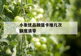 小象优品颜值卡推几次额度清零