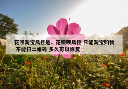 花呗淘宝风控是，花呗呗风控 只能淘宝购物 不能扫二维码 多久可以恢复