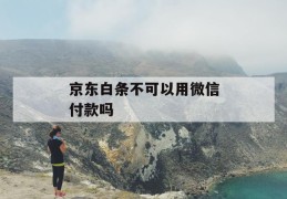 京东白条不可以用微信付款吗