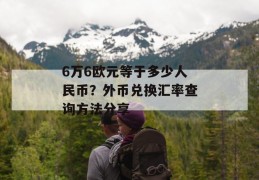 6万6欧元等于多少人民币？外币兑换汇率查询方法分享