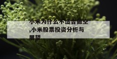 小米为什么不适合做空,小米股票投资分析与展望