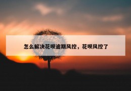 怎么解决花呗逾期风控，花呗风控了