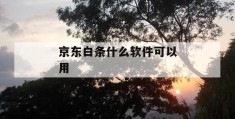 京东白条什么软件可以用