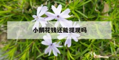 小鹅花钱还能提现吗