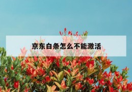 京东白条怎么不能激活