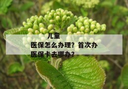 
       儿童医保怎么办理？首次办医保卡去哪办？
     