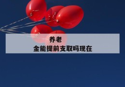 
       养老金能提前支取吗现在
     