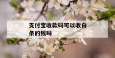 支付宝收款码可以收白条的钱吗