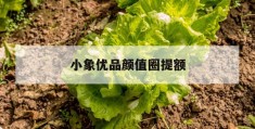 小象优品颜值圈提额