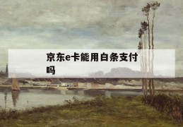 京东e卡能用白条支付吗