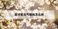 支付宝元气租机怎么样