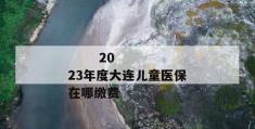 
       2023年度大连儿童医保在哪缴费
     