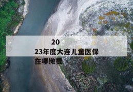 
       2023年度大连儿童医保在哪缴费
     