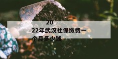 
       2022年武汉社保缴费一个月多少钱
     