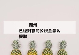 
       湖州已经封存的公积金怎么提取
     