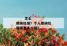 
       怎么缴纳社保？个人缴纳社保需要多少钱？
     