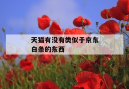 天猫有没有类似于京东白条的东西