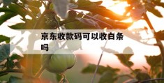 京东收款码可以收白条吗