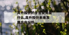 高升股份的主营业务是什么,高升股份未来发展方向分析