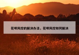 花呗风控的解决办法，花呗风控如何解决