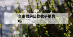 白条提前还款收手续费吗