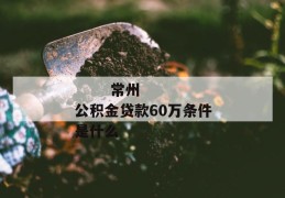 
       常州公积金贷款60万条件是什么
     