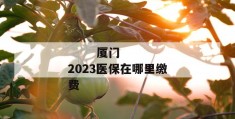 
       厦门2023医保在哪里缴费
     