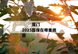 
       厦门2023医保在哪里缴费
     