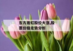 东方雨虹股价大涨,股票价格走势分析