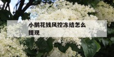 小鹅花钱风控冻结怎么提现