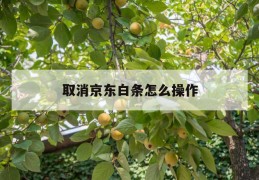 取消京东白条怎么操作