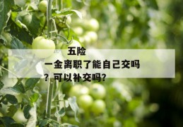 
       五险一金离职了能自己交吗？可以补交吗？
     